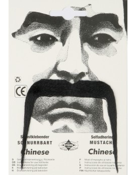 Moustache chinois