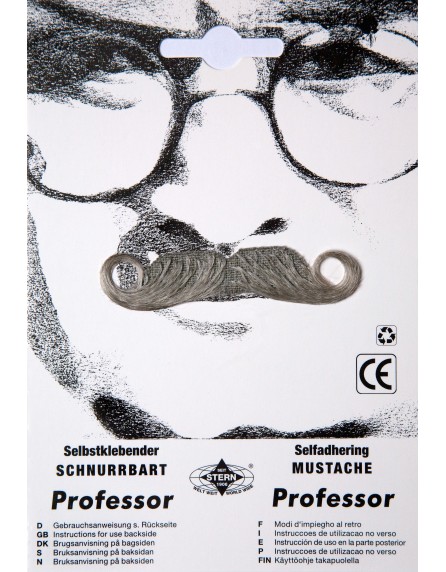 Moustache professeur grise