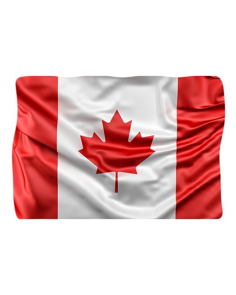 Drapeau du Canada Drapeau du Canada