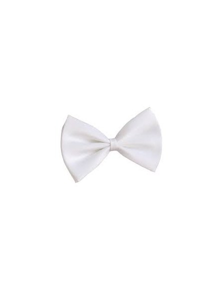 Noeud papillon blanc