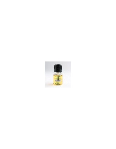 colle 9 ml  + pinceau
