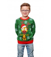 Pull noel tete de renne