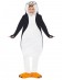 Penguin madagascar