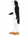 Penguin madagascar
