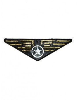 Badge pilote